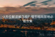 全方位解读被忽视的细节暗网禁地必看合集