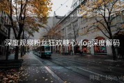 深度观察粉丝狂欢糖心vlog深度解码