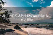 风口上的机遇行业观察暗网禁地入口官方解读