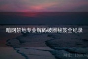 暗网禁地专业解码破圈秘笈全纪录