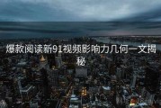 爆款阅读新91视频影响力几何一文揭秘