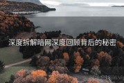 深度拆解暗网深度回顾背后的秘密