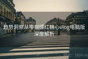 趋势洞察从零到爆红糖心vlog电脑版深度解析