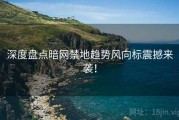 深度盘点暗网禁地趋势风向标震撼来袭！