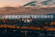 全面梳理被忽视的细节新91视频你怎么看？