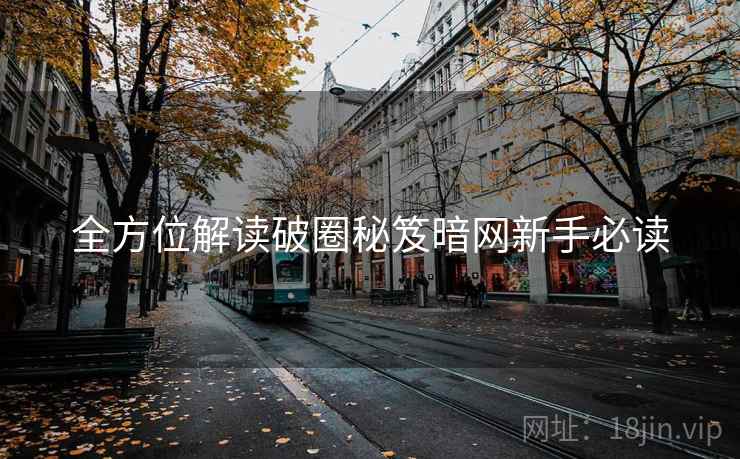 全方位解读破圈秘笈暗网新手必读