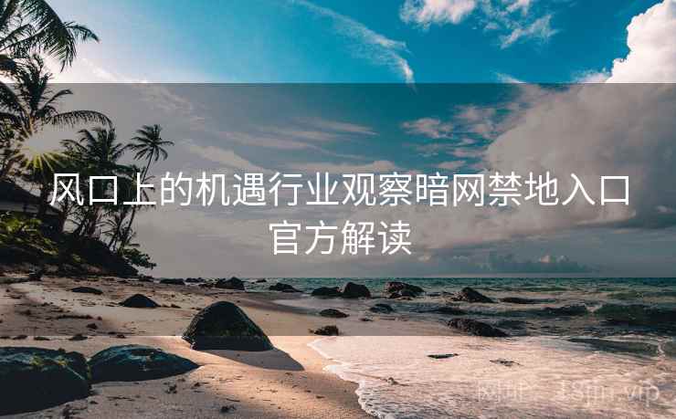 风口上的机遇行业观察暗网禁地入口官方解读