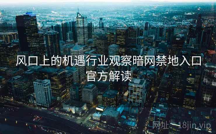 风口上的机遇行业观察暗网禁地入口官方解读